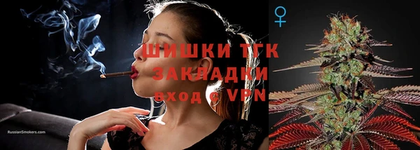 индика Балахна
