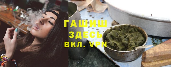 индика Балахна