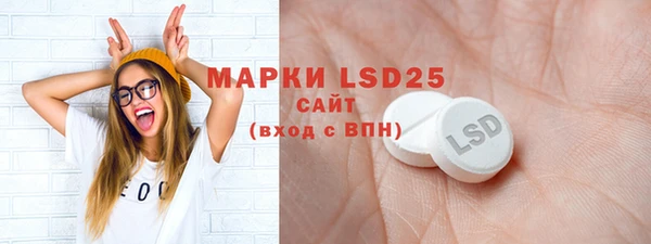 индика Балахна