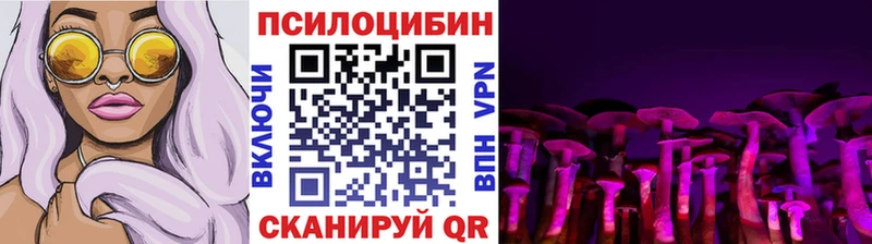 даркнет Telegram  Сковородино  Галлюциногенные грибы Cubensis 